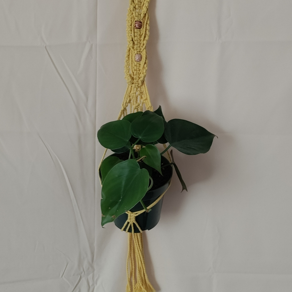 Small macrame plant hangar